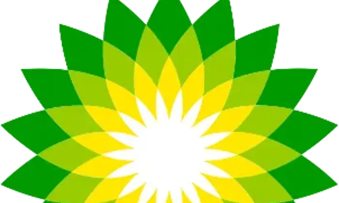 Logotipo de BP con un diseño floral geométrico en verde y amarillo y las letras "bp" minúsculas en verde en la parte superior derecha.