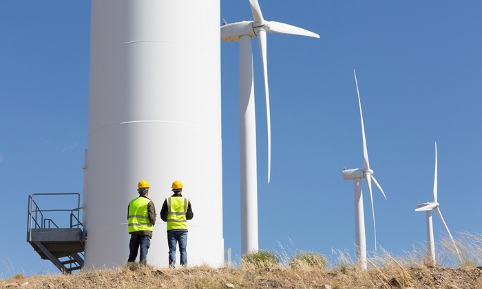 Engineers examining wind turbines on sunny wind farm
