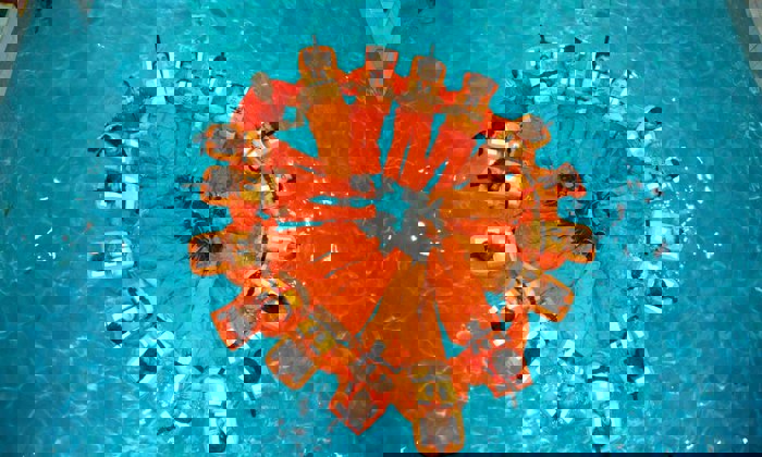 Un grupo de personas con trajes naranjas y chalecos salvavidas forman un círculo mientras flotan en una piscina, vista desde arriba.