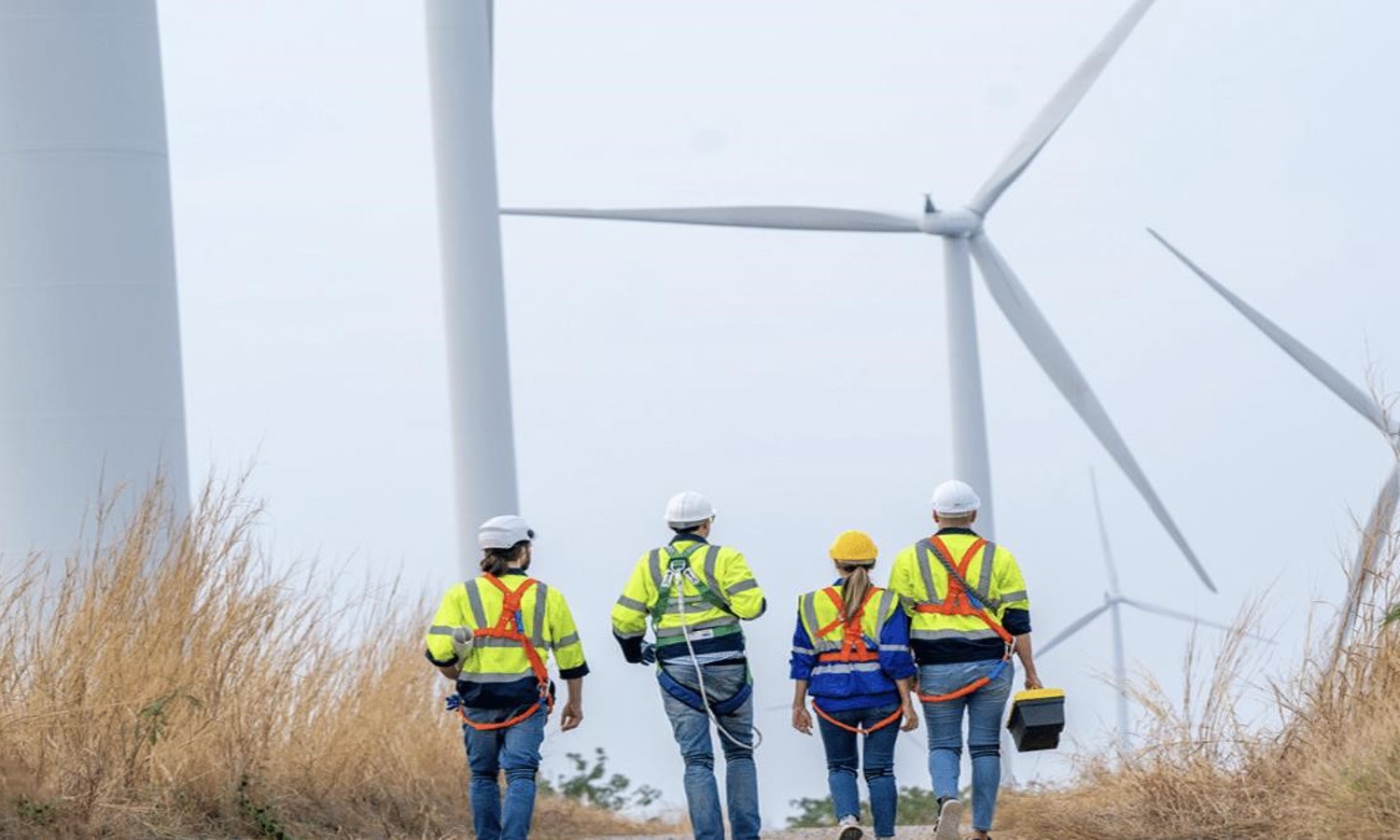 Cuatro trabajadores con equipo de seguridad, recién salidos de una sesión de formación, caminan hacia unos aerogeneradores en un campo.
